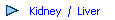 Kidney  /  Liver