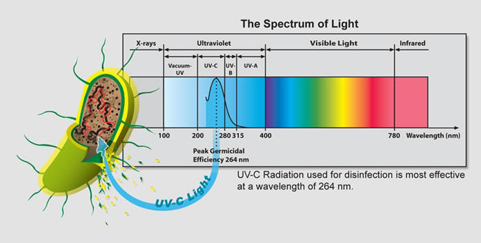 UV-Light