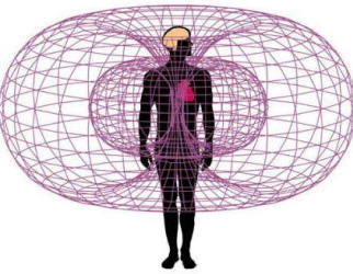 The magnetic field of the body - YouTube