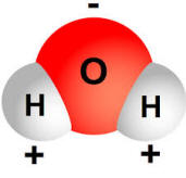 water molecule